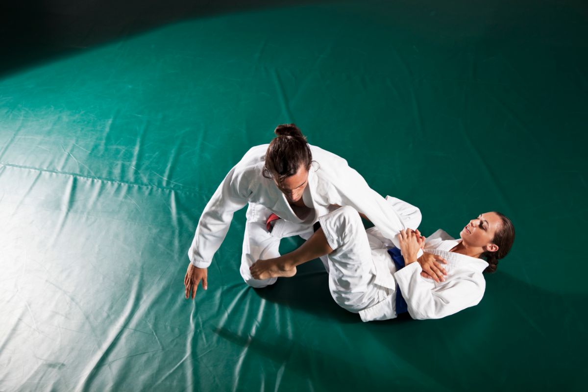 The First 10 Bjj Submissions You Should Learn 